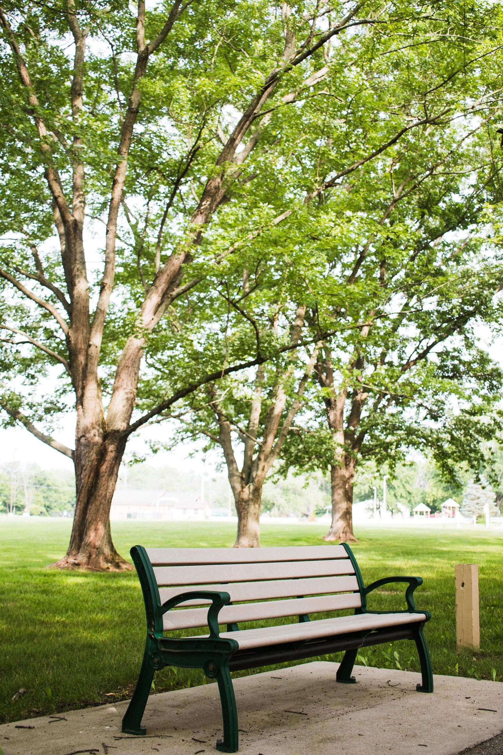 Wooded Area with Bench
