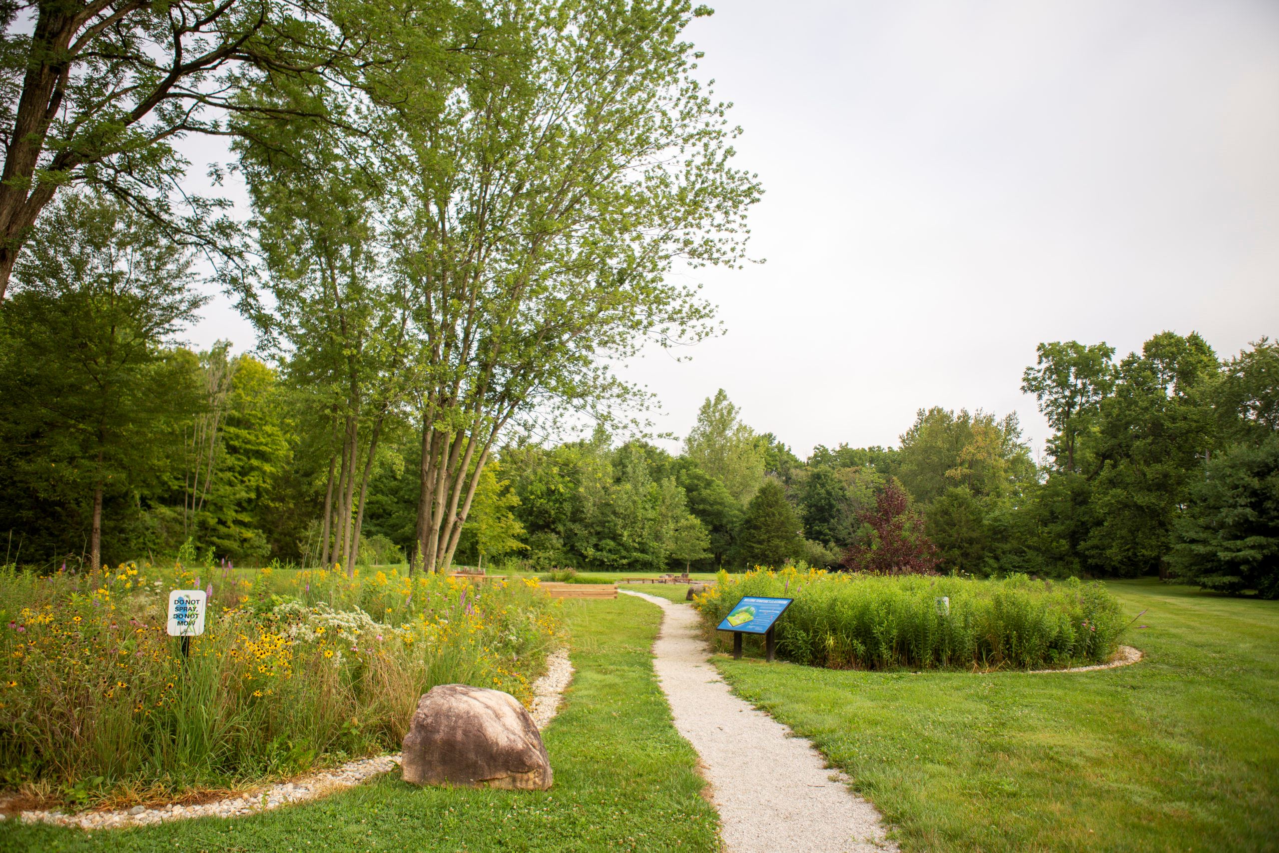 A gravel path leads through the Outdoor Classroom at Williams Park